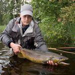 Profile Picture of Jari Liljeroos (@liljeroos_jari) on Instagram