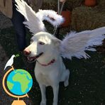 Profile Picture of Jayne Replogle Shumaker (@Jayne-Replogle-Shumaker) on Facebook