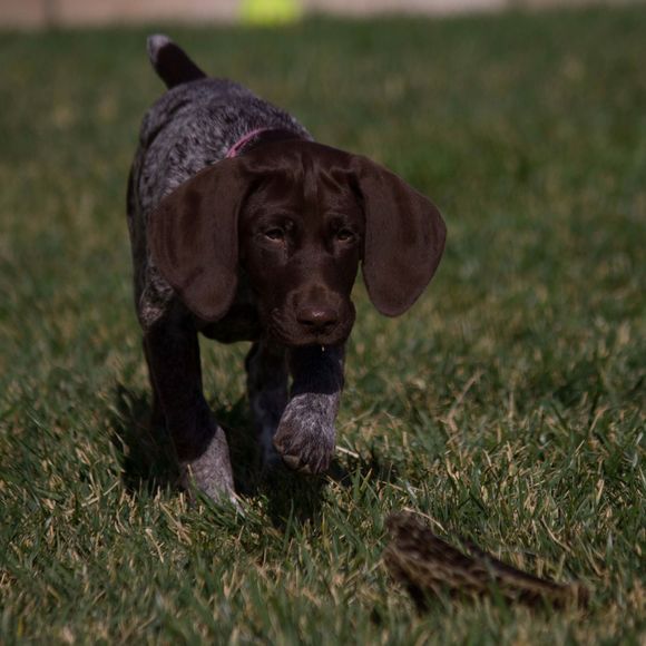 Profile Picture of Gary Boyer (@galanboyer) on Poshmark