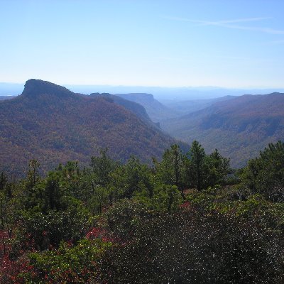 Profile Picture of Todd Carroll (@ToddCarrollNC) on Twitter