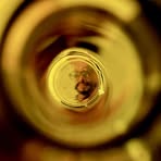 Profile Picture of Franco Alicea (@Franco-Alicea) on Facebook