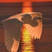 Profile Picture of Mahmod Ibrahim (@mahmodibrahim3685) on Youtube