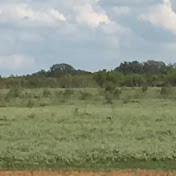 Profile Picture of Ernest Gonzales (@ernestgonzales2626) on Youtube