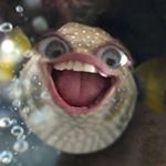 Profile Picture of Josh bolt (@josh_bolt) on Instagram