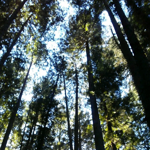 Profile Picture of Lilly Raschein (@lillymoorea) on Poshmark