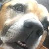 Profile Picture of Sue Thompson (@@suethompson97) on Tiktok