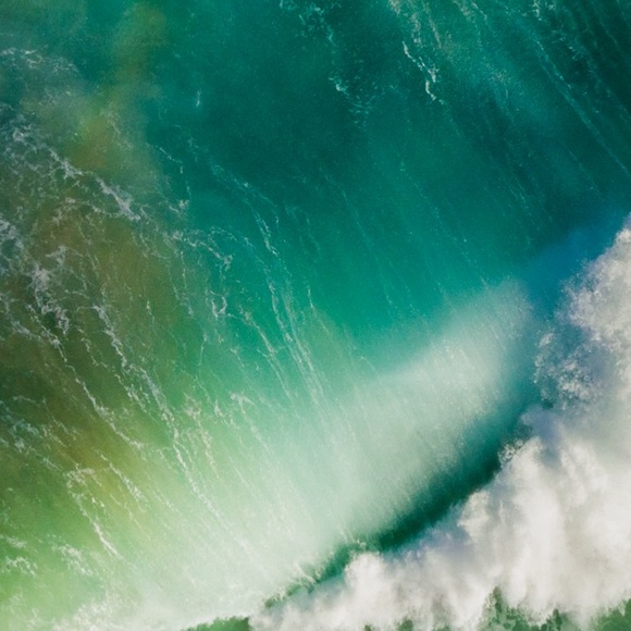 Profile Picture of Kevin Dias (@kevinddas) on Poshmark