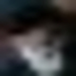 Profile Picture of Leo Klaz (@leoklaz) on Flickr