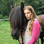 Paulina gibler - Instagram Profile Picture of Paulina gibler (@saelingur_vom_sonnenhof_pg) on Instagram