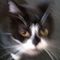 Profile Picture of Robin Walczyk (@robin.walczyk) on Facebook