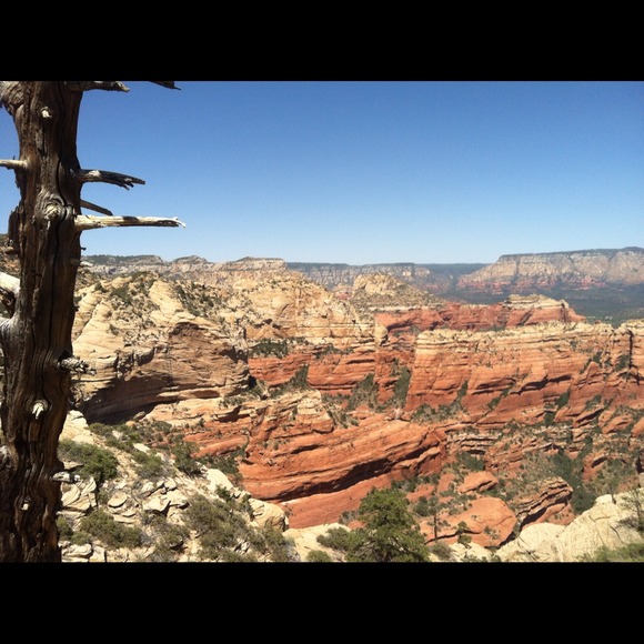 Profile Picture of Juli Rodriguez (@bulabula) on Poshmark