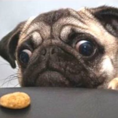 Profile Picture of Elijah McKenzie (@TFCoM598) on Twitter