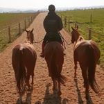 Profile Picture of juliabiddlecombe1 (@juliabiddlecombe1) on Instagram