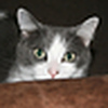 Profile Picture of Joshua Prater (@praterjm) on Flickr