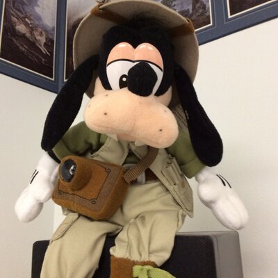 Profile Picture of Alice Hofstad (@amhofstad) on Twitter