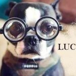 lucas_sweetsandstyle - Instagram Profile Picture of lucas_sweetsandstyle (@lucas_sweetsandstyle) on Instagram