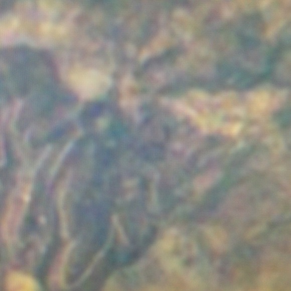 Profile Picture of Rupert Podactor (@rupertbear) on Poshmark