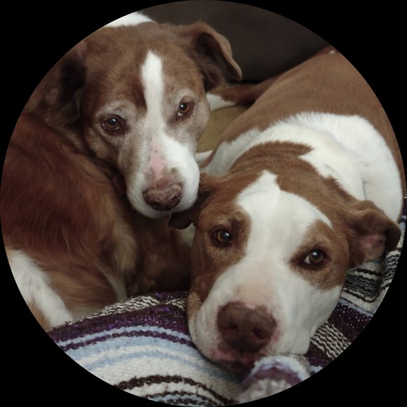 Profile Picture of Steven Keator (@stevenkeator) on Poshmark