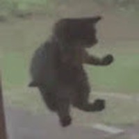 Profile Picture of Jonathan Ji (@jonathan-ji-9) on Quora