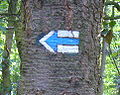 Profile Picture of Trail blazingon Wikipedia