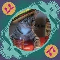 Profile Picture of Dan Waldmiller (@dan-waldmiller) on Quora