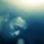 Profile Picture of Kevin Yang (@blissad) on Flickr