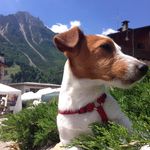 Profile Picture of Roberto Figar (@robertofigar) on Instagram