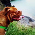 Profile Picture of Adam Groome (@adam.groome.37) on Instagram