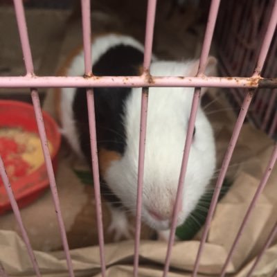 Profile Picture of Jason Val Buenafe Elcano (@ValElcano) on Twitter