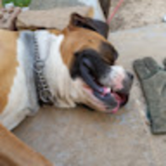 Profile Picture of Travis Brennan (@travisbrennan90) on Poshmark