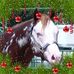 Profile Picture of Cindy Conti (@cindy.conti.547) on Facebook