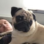 Profile Picture of Paul Mops (@paul_mops_1977) on Instagram