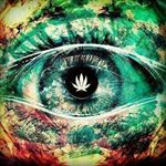 Profile Picture of Jose A. Tacuri Quispe (@josearmando_tacuri) on Instagram