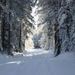 Profile Picture of Jeannette Newton (@beautyinthepine) on Pinterest