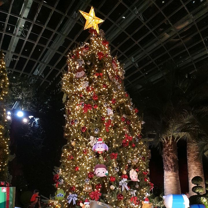 Profile Picture of Darenge (@@darenge) on Tiktok