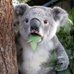 Profile Picture of Марк Бессонов (@coalo_pauelho) on Instagram