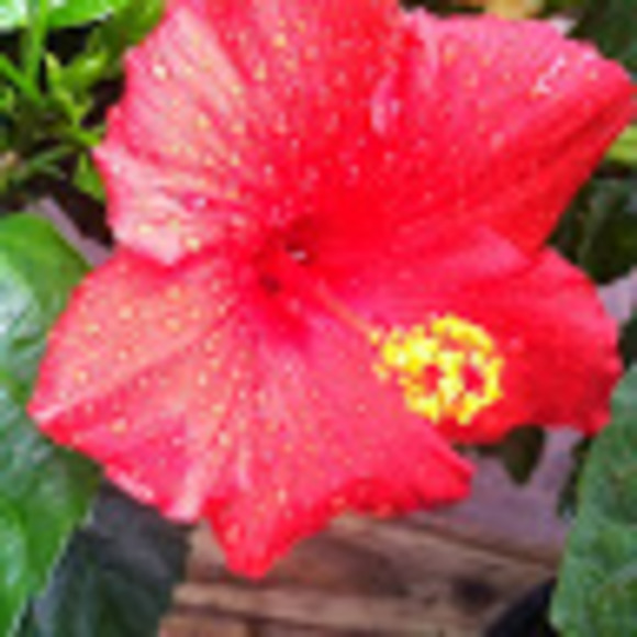 Profile Picture of Mallory Payne (@mallorygklarich) on Poshmark