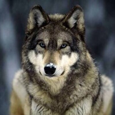 Profile Picture of John Blakey (@johnblakey2) on Twitter