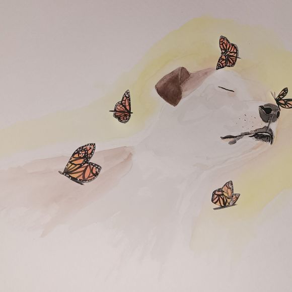 Profile Picture of Renee Collette (@reneecollette) on Poshmark