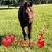 Profile Picture of Rachel Schmidt (@rachel.schmidt.1004) on Facebook