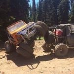 Profile Picture of Randy Gibbs (@zukibob4x4) on Instagram