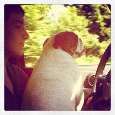 Profile Picture of Nicholas Milliman (@Nhm1Nicholas) on Twitter