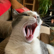 Profile Picture of Karen Larsen (@kaylee75) on Youtube