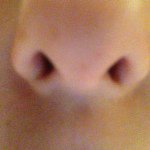 Profile Picture of clarabacon_5 (@clarabacon_5) on Instagram