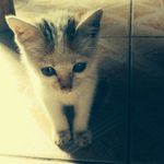 Profile Picture of Ian Ochieng (@ian__ochieng) on Instagram