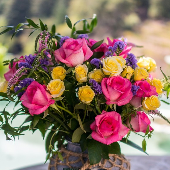 Teresa Dickey - Poshmark Profile Picture of Teresa Dickey (@reese9277) on Poshmark