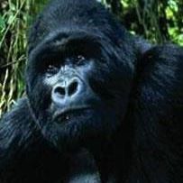 Profile Picture of Michael Struckmeyer (@michael.struckmeyer.98) on Facebook