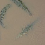 Profile Picture of Neil Haynes (@neilhaynes) on Instagram