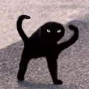Profile Picture of jonathanbohr (@jonathanbohr) on Tiktok