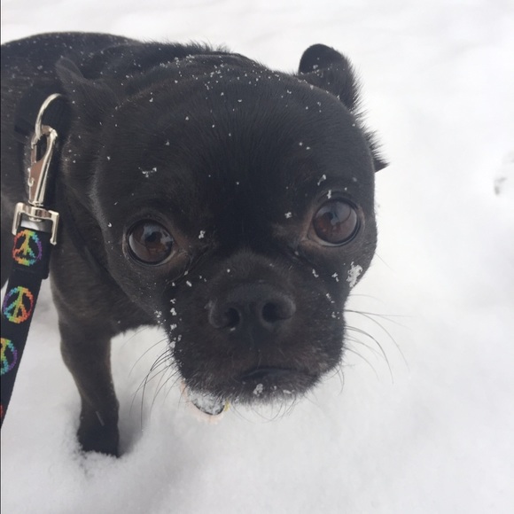 Profile Picture of Hannah Proell (@hannahproell) on Poshmark